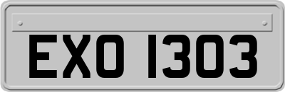 EXO1303