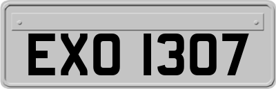 EXO1307