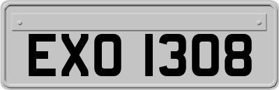 EXO1308