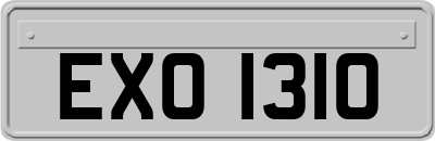 EXO1310