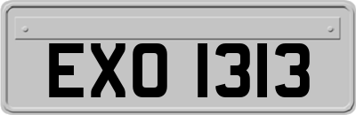 EXO1313