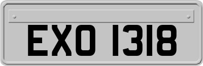 EXO1318