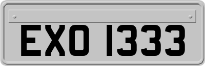 EXO1333