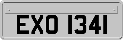 EXO1341