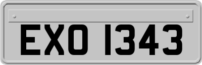 EXO1343