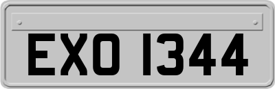 EXO1344