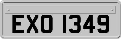EXO1349