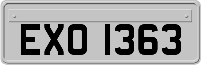 EXO1363