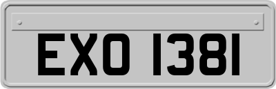 EXO1381