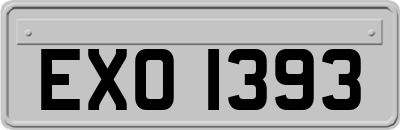 EXO1393