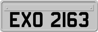 EXO2163