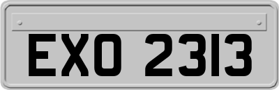 EXO2313