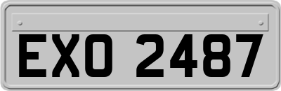 EXO2487