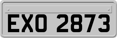 EXO2873