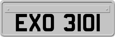 EXO3101