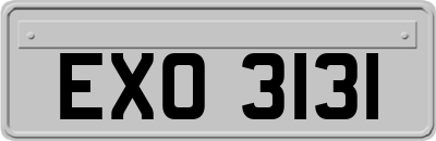EXO3131
