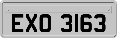 EXO3163