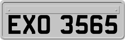 EXO3565