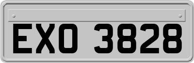 EXO3828