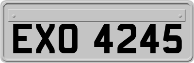 EXO4245