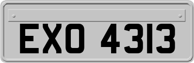 EXO4313