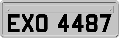 EXO4487