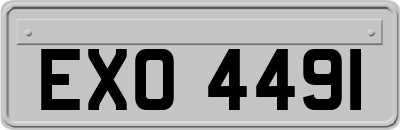 EXO4491
