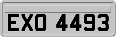 EXO4493