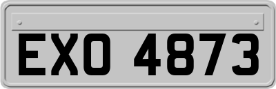 EXO4873