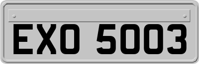 EXO5003