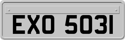 EXO5031