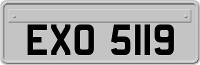 EXO5119