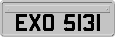 EXO5131