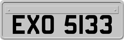 EXO5133