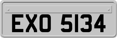 EXO5134