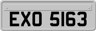 EXO5163