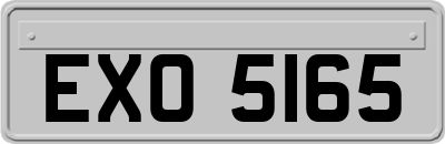 EXO5165