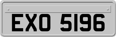 EXO5196