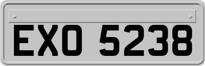 EXO5238