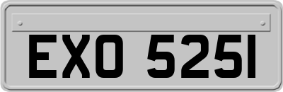 EXO5251