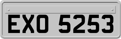EXO5253