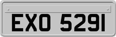 EXO5291