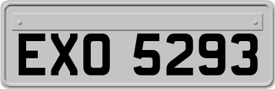 EXO5293