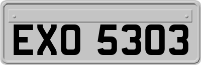EXO5303