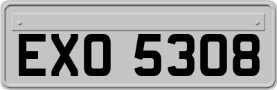 EXO5308