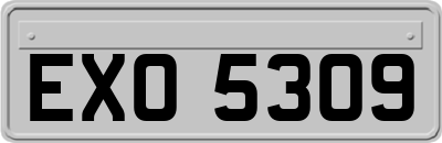 EXO5309