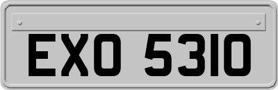 EXO5310