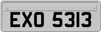 EXO5313