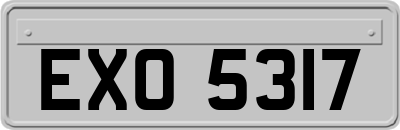 EXO5317
