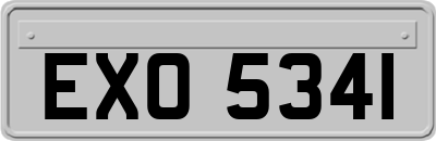 EXO5341